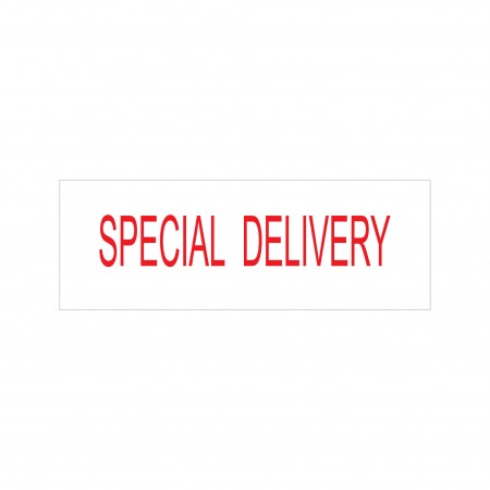 Special Delivery Stock Stamp 4911/107 38x14mm